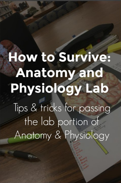 survive-anatomy-lab.jpg